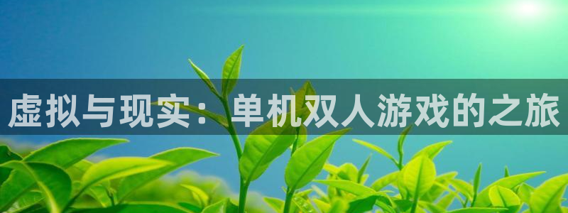 虚拟与现实：单机双人游戏的之旅