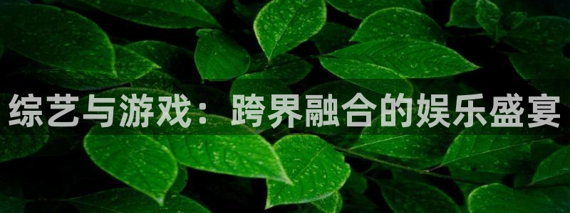一竞技官网网页版