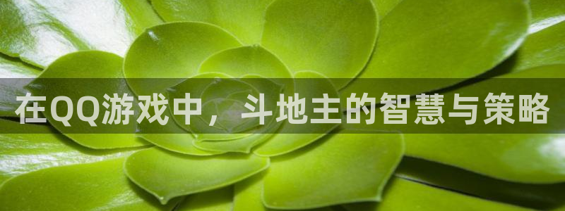 一竞技官网测速：在QQ游戏中，斗地主的智慧与策略