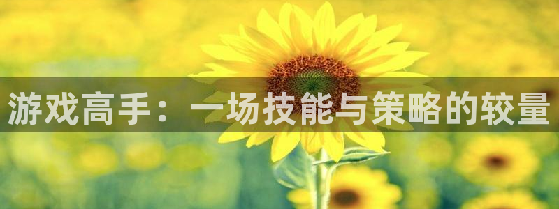 一竞技体育官网：游戏高手：一场技能与策略的较量