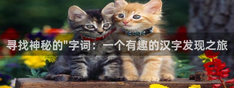 一竞技官网测试