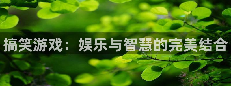 一竞技官方网站入口：搞笑游戏：娱乐与智慧的完美结合