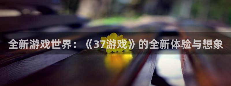 一竞技DOTA2选手Saksa