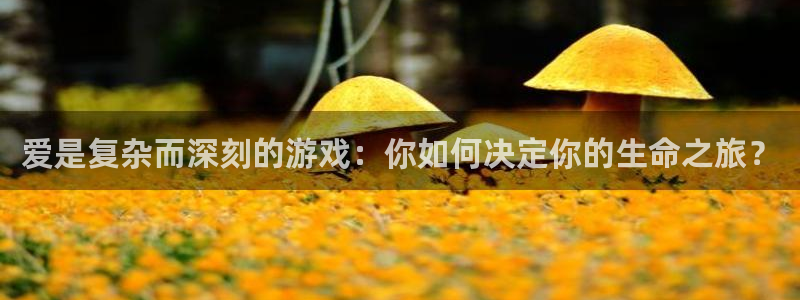 一竞技官网入口登录：爱是复杂而深刻的游戏：你如何决定你的生命