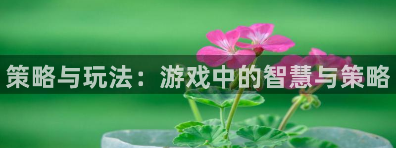 一竞技测速网站：策略与玩法：游戏中的智慧与策略