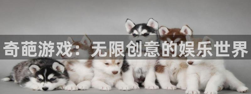 一竞技官网游戏平台