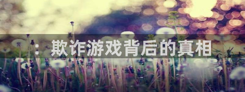 一竞技测速网站填什么