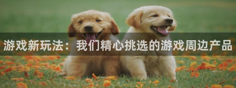 一竞技测速网站填什么